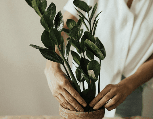 GARDENING
