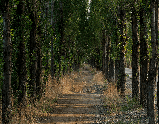 surroundings