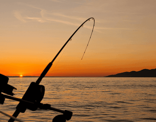 fishing