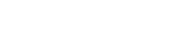 An image uploaded to Strapi called partner_salt